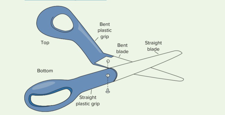 Bent
plastic
grip
Top
Straight
blade
Bent
blade
Bottom
Straight
plastic grip
9--
