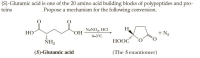 (S)-Glutamic acid is one of the 20 amino acid building blocks of polypeptides and pro-
Propose a mechanism for the following conversion.
teins
NaNO,, HCI
H
HO
ОН
+ N2
0-5°C
NH2
НООС
(S)-Glutamic acid
(The Senantiomer)
