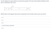 Use the diagram of a gene below to answer the question. The site of transcription initiation of the
gene is indicated by the arrow.
5'
D
Which letter in the diagram above best corresponds to the location where exons are found?
O A
C
None of these correspond
D
B.
