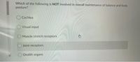 Which of the following is NOT involved in overall maintenance of balance and body
posture?
O Cochlea
Visual input
O Muscle stretch receptors
Joint receptors
Otolith organs
