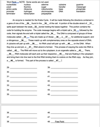 Word Bank -- NOTE: Some words are not used.
cytosine
transfer
base
nucleotides
nucleus
adenine
guanine
uracil
amino acids
thymine
ribosome
sugar
mitochondria
messenger
phosphate
translation
promoter
terminator
hydrogen
transcription
chromosomes
DNA
polypeptide
An enzyme is needed for the Krebs Cycle. It will be made following the directions contained in
a gene of one of the
29
found in the
30
of the cell. A portion of the double strand of __31__
splits apart between the weak_32_bonds holding the bases together. This portion contains the
code for building the enzyme. The code message begins with a triplet call a_33_
followed by the
code, then signals the end with a triplet called the _34_. The DNA is composed of groups of three
molecules called
35
36
They are made up of ribose
37_ for additional support, and
a
a nitrogenous
38
These match up with complementary ones on the opposite strand of DNA.
A cytosine will pair up with
39
An RNA uracil will pair up with
40
on the DNA. When
they line up and join, a
41
RNA strand is formed. This process of copying the code into RNA is
called_42_. The RNA will move out to the cytoplasm, to an organelle called a
43_. There,
44
RNA molecules will each pick up their respective
45
that are floating in the cytoplasm
and bring them into line next to the first RNA binding them to codons on the RNA copy. As they join,
_46_ is formed. This part of the process is called_47_. |
29.
39.
30.
40.
31.
41.
32.
42.
33.
43.
34.
44.
35.
45.
36.
46.
37.
47.
38.
48.
Free Point
