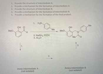 **Synthesis Process and Mechanism Overview**

This educational material outlines a multi-step organic synthesis process represented by a sequence of chemical reactions. Each step involves specific reagents and leads to the formation of intermediates and a final product. The text explains the synthetic pathway involving the conversion of an initial compound through intermediates to the final product.

**Process Steps:**

1. **Provide the structure of Intermediate A.**
2. **Provide a mechanism for the formation of Intermediate A.**
3. **Provide the structure of Intermediate B.**
4. **Provide a mechanism for the formation of Intermediate B.**
5. **Provide a mechanism for the formation of the final product.**

**Chemical Reaction Pathway:**

- Starting Compound: An aromatic aldehyde with methoxy and hydroxyl groups.
- **Step 1:** Reaction with a methyl-substituted aniline forms Imine Intermediate A (not isolated).
- **Step 2:** Reduction by sodium borohydride (NaBH₄) in ethanol (EtOH) creates Amine Intermediate B (not isolated).
- **Step 3:** Acetylation with acetic anhydride (Ac₂O) forms the final product, which is an acetylated amine.

**Diagram Explanation:**

- The initial arrow labeled “1” indicates the reaction between the aldehyde and aniline to form the imine.
- The subsequent step noted as “2” shows the reduction process leading to the formation of an amine.
- The arrow labeled “3” represents acetylation, indicating the final transformation into the acetylated amine with a lactam ring structure.

This sequence describes a typical process for synthesizing a complex organic molecule via a planned strategy of reactions and transformations.