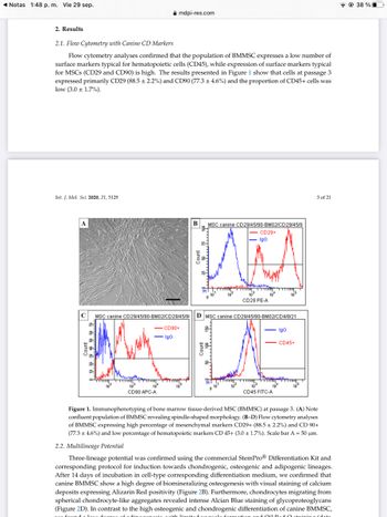 Notas 1:48 p. m. Vie 29 sep.
2. Results
2.1. Flow Cytometry with Canine CD Markers
Flow cytometry analyses confirmed that the population of BMMSC expresses a low number of
surface markers typical for hematopoietic cells (CD45), while expression of surface markers typical
for MSCs (CD29 and CD90) is high. The results presented in Figure 1 show that cells at passage 3
expressed primarily CD29 (88.5 ± 2.2%) and CD90 (77.3 ± 4.6%) and the proportion of CD45+ cells was
low (3.0 ± 1.7%).
Int. J. Mol. Sci. 2020, 21, 5129
A
mdpi-res.com
CD90 APC-A
B
10
10
CD29 PE-A
C MSC canine CD29/45/90-BM02/CD29/45/91 D MSC canine CD29/45/90-BM02/CD4/8/21
CD90+
IgG
MSC canine CD29/45/90-BM02/CD29/45/9
CD29+
IgG
ALA
CD45 FITC-A
IgG
CD45+
3 of 21
Figure 1. Immunophenotyping of bone marrow tissue-derived MSC (BMMSC) at passage 3. (A) Note
confluent population of BMMSC revealing spindle-shaped morphology. (B-D) Flow cytometry analyses
of BMMSC expressing high percentage of mesenchymal markers CD29+ (88.5 ± 2.2%) and CD 90+
(77.3 ± 4.6%) and low percentage of hematopoietic markers CD 45+ (3.0 ± 1.7%). Scale bar A = 50 μm.
2.2. Multilineage Potential
Three-lineage potential was confirmed using the commercial StemPro® Differentiation Kit and
corresponding protocol for induction towards chondrogenic, osteogenic and adipogenic lineages.
After 14 days of incubation in cell-type corresponding differentiation medium, we confirmed that
canine BMMSC show a high degree of biomineralizing osteogenesis with visual staining of calcium
deposits expressing Alizarin Red positivity (Figure 2B). Furthermore, chondrocytes migrating from
spherical chondrocyte-like aggregates revealed intense Alcian Blue staining of glycoproteoglycans
(Figure 2D). In contrast to the high osteogenic and chondrogenic differentiation of canine BMMSC,
Commation and Oil Rai staini
me found a low de
with limite
38 %