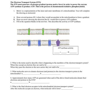 Answered: 2. What is the terms used to describe… | bartleby