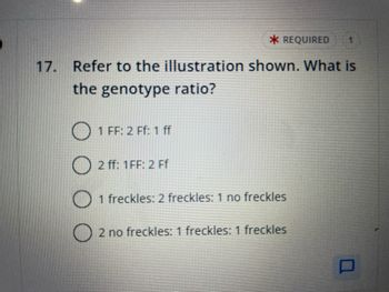 The image displays a multiple-choice question commonly found on educational genetic studies or biology assessments. The question is as follows:

"17. Refer to the illustration shown. What is the genotype ratio?"

The options provided are:

1. 1 FF: 2 Ff: 1 ff
2. 2 ff: 1 FF: 2 Ff
3. 1 freckles: 2 freckles: 1 no freckles
4. 2 no freckles: 1 freckles: 1 freckles

This question appears to focus on understanding genotype ratios, which are fundamental in genetics to describe the frequency of different genetic combinations resulting from a genetic cross. Without viewing the referenced illustration, an accurate assessment of the correct answer cannot be made solely from the text provided. However, detailed explanations or diagrams usually accompany such questions to facilitate the comprehension of genetic inheritance patterns.