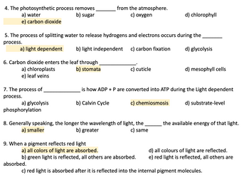 4. The photosynthetic process removes
a) water
b) sugar
e) carbon dioxide
6. Carbon dioxide enters the leaf through
b) stomata
5. The process of splitting water to release hydrogens and electrons occurs during the
process.
a) light dependent
b) light independent
c) carbon fixation
d) glycolysis
a) chloroplasts
e) leaf veins
7. The process of
process.
a) glycolysis
phosphorylation
from the atmosphere.
c) oxygen
9. When a pigment reflects red light
c) cuticle
8. Generally speaking, the longer the wavelength of light, the
a) smaller
b) greater
c) same
absorbed.
d) chlorophyll
is how ADP + P are converted into ATP during the Light dependent
b) Calvin Cycle
c) chemiosmosis
d) substrate-level
a) all colors of light are absorbed.
b) green light is reflected, all others are absorbed.
d) mesophyll cells
the available energy of that light.
d) all colours of light are reflected.
e) red light is reflected, all others are
c) red light is absorbed after it is reflected into the internal pigment molecules.