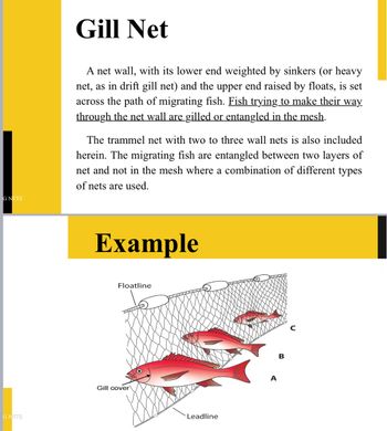 Answered: What makes gill net popular?