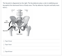 The hip joint is diagramed on the right. The hip abductor plays a role in stabilizing your
leg against the downward force of body mass. The hip abductor, hip joint and body mass
form a
Hip
Abductor
Hip Joint
Body Mass
O Type II lever
O Type I lever
O Type III lever
