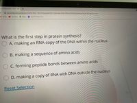 ty of Indianapolis : 20202 X
ace.uindy.edu/portal/site/202020-BIOL-104-07/tool/2e4f1021-614d-4fae-83d6-ff99ca3767e0/jsf/delivery/beginTakingAssessment
M Gmail
YouTube
Maps
A ApneTV Home of H...
What is the first step in protein synthesis?
O A. making an RNA copy of the DNA within the nucleus
B. making a sequence of amino acids
O C. forming peptide bonds between amino acids
OD. making a copy of RNA with DNA outside the nucleus
Reset Selection
