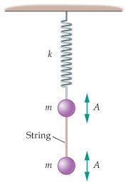 Answered: A mass m is connected to the bottom of… | bartleby