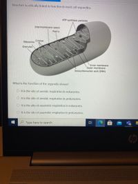 Answered: What is the function of the organelle… | bartleby