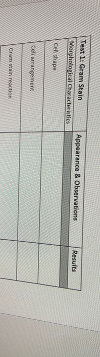 Test 1: Gram Stain
Appearance & Observations
Results
Morphological Characteristics
Cell shape
Cell arrangement
Gram stain reaction
