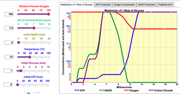 100
7.0
0
37
1
0
Relative Percent Oxygen
0 25
50 75 100
pH of intermembrane space
0
3.5 7 10.5 14
0
initial NADH (mol)
10
Temperature (°C)
0 20 40 60 80 100
I
20 30 40
I
initial Glucose (mol)
0 2 4 6 8
I
I
initial ATP (mol)
0 20 40 60 80 100
1
10
I
I
Metabolism of 1 Mole of Glucose ATP Production Oxygen Consumption NADH Production
Metabolism of 1 Mole of Glucose
Concentrations (Mutliscaled and Auto Scaled)
35.4
10
100
6
26.5
7.5
75
4.5
17.7
50
8.84
2.5
25
1.5
0000
2
-1-ATP
4
7
➡2-NADH
9
11
Milliseconds
3-Oxygen
13
16
Potential (mv)
18
Carbon Dioxide
20