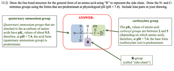 13.2) Draw the line bond structure for the general form of an amino acid using “R” to represent the side chain. Draw the N- and C-
terminus groups using the forms that are predominant at physiological pH (pH = 7.4). Include lone pairs in your drawing.
quaternary ammonium group
Quaternary ammonium groups that are
attached to the a-carbons of amino
acids have pK₂ values of about 9.5,
therefore, at pH = 7.4, the acid form
(quaternary ammonium group) is
predominant.
ANSWER:
H :0:
||
H-N—C—C—0:
H
H
R
carboxylate group
The pKa values of amino acid
carboxyl groups are between 2 and 5
(depending on which amino acid),
therefore, at pH = 7.4, the base form
(carboxylate ion) is predominant.
R-group
(called "side-chain")