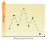 A
Reaction coordinate
