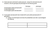 3) Green pea pod is dominant to yellow pea pod. Using G for dominant and g for
recessive, write the genotype and phenotype for the following plants
Genotype
phenotype
A homozygous yellow pod pea plant
A heterozygous plant
A homozygous green pod pea plant
4) A pure green pod pea plant was crossed with a pure yellow pod pea plant (F1
generation)
a) Create a Punnett Square and show the probabilities (use ratio or percentage)of
the offspring:
