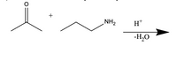 NH2
H*
-H,0
+
