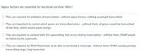 Sigma factors are essential for bacterial survival. Why?
They are required for initiation of transcription -without sigma factors, nothing would get transcribed.
They are important to control which genes are transcribed when - without them, all genes would be transcribed
all the time, which would waste energy.
They are required to contend with the supercoiling that occurs during transcription - without them, RNAP would
be halted by the supercoils.
They are required for RNA Polymerase to be able to terminate a transcript - without them, RNAP would just keep
transcribing huge, long transcripts
