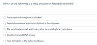 Which of the following is a likely outcome of Rifampin treatment?
Transcriptional elongation is blocked
Peptidyltransferase activity is inhibited at the ribosome
The peptidoglycan cell wall is degraded by peptidoglycan hydrolases
Double stranded DNA breaks
Pore formation in the outer membrane
