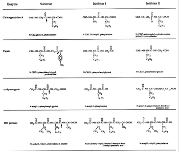 Enzyme
Carboxypeptidase A
Papain
α-chymotrypsin
HIV protease
Substrate
CBZ-NH-CH,-C--NH-CH-COOH
N-CBZ-glycyl-L-phenylalanine
CH₂
T
C6H5
i
CBZ-NH-CH--C-NH-CH, CẠNH
NHI NH
CH₂
C6 Hz
N-CBZ-L-phenylalanyl-glycyl-
CH₂-
p-nitroanilide
i
CH,-C-NH-CH-C-NH-CH2-COOH
1
CH2
C6 H5
NO2
N-acetyl-L-phenylalanyl-glycine
CHO LINH CHÍNH CH
-NH--
1
CH
CH₂
CH3 CH3 C6H5
NH-CH-C-NH-CH-COOH
I
CH3
N-acetyl-L-valyl-L-phenylalanyl-L-alanine
Inhibitor I
CBZ-NH-CH-C-NH-CH-COOH
CH3
N-CBZ-D-alanyl-L-phenylalanine
CH3-C
i
CBZ-NH-CH-C--NH-CH,CH
1-C₁₂-1
T
CH₂
C Hs
T
CH₂
C6H5
N-CBZ-L-phenylalanyl-glycinal
ů
NH--CH--C--OH
CH₂
C6H5
N-acetyl-L-phenylalanine
CH,--C--NH-CH-C-NH-CH-C-CH2-CH-COOH
CH
CH2
CH3 CH3 C6H5
CH 3
N-(N-(acetyl)-valyl)-5-amino-5-benzyl-4-keto-
2-methyl-pentanoic acid
CBZ--NH-CH₂--P--NH-CH--COOH
O
Inhibitor II
N-(CBZ-aminomethyl-oxyhydroxyphos-
phinyl)-L-phenylalanine
i
CBZ--NH--CH--C--NH-CH2-COOH
8
1
CH2
C6H5
CH 2
C6H5
N-CBZ-L-phenylalanyl-glycine
요
CH3--C--NH--CH--CH(OH)CH₂CH₂COOH
CH2
C6H5
N-acetyl-5-amino-5-benzyl-4-hydroxy-
pentanoic acid
요
CH,--C--NH--CH--C-NH--CH--C--OH
CH
CH
11E0
CH₂
CH3 CH3 C6H5
N-acetyl-L-valyl-L-phenylalanine