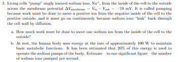 3. Living cells "pump" singly ionized sodium ions, Na+, from the inside of the cell to the outside
across the membrane potential AVmembrane = Vin - Vout= -70 mV. It is called pumping
because work must be done to move a positive ion from the negative inside of the cell to the
positive outside, and it must go on continuously because sodium ions "leak" back through
the cell wall by diffusion.
a. How much work must be done to move one sodium ion from the inside of the cell to the
outside?
b. At rest, the human body uses energy at the rate of approximately 100 W to maintain
basic metabolic functions. It has been estimated that 20% of this energy is used to
operate the sodium pumps of the body. Estimate to one significant figure the number
of sodium ions pumped per second.