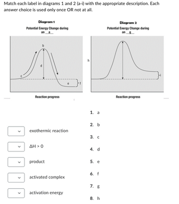 Match each label in diagrams 1 and 2 (a-i) with the appropriate description. Each
answer choice is used only once OR not at all.
Diagram 1
Potential Energy Change during
ana
Reaction progress
exothermic reaction
AH > 0
product
activated complex
activation energy
1. a
2. b
3. C
4. d
5. e
6. f
7. g
8. h
Diagram 2
Potential Energy Change during
an
Reaction progress
******