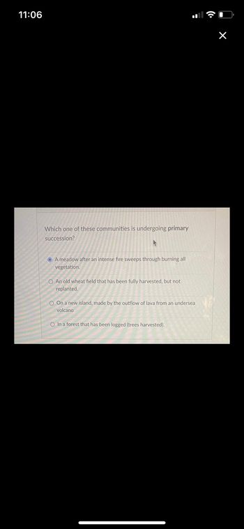 11:06
Which one of these communities is undergoing primary
succession?
A meadow after an intense fire sweeps through burning all
vegetation.
O An old wheat field that has been fully harvested, but not
replanted.
O On a new island, made by the outflow of lava from an undersea
volcano
O In a forest that has been logged (trees harvested).
X