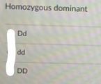 Homozygous dominant
Dd
DD
