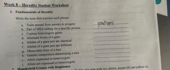 Week 8- Heredity Student Worksheet
1. Fundamentals of Heredity
Write the term that matches each phrase:
a.
Traits passed from parents to progeny
b. Part of DNA coding for a specific protein
c. Contain homologous genes
d. Alternate forms of a gene
e. Alleles of a gene pair are identical
f. Alleles of a gene pair are different
g. Observable form of a trait
h. Genetic composition determining a trait
i. Allele expressed in heterozygote
j. Allele not expressed in heterozygote
2 Monohybrid Crosses with Dominance
genotypes.
walled by one gene with two alleles: purple (R) and yellow (r).