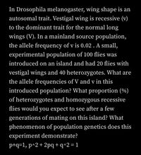 In Drosophila melanogaster, wing shape is an
autosomal trait. Vestigal wing is recessive (v)
to the dominant trait for the normal long
wings (V). In a mainland source population,
the allele frequency of v is 0.02 . A small,
experimental population of 100 flies was
introduced on an island and had 20 flies with
vestigal wings and 40 heterozygotes. What are
the allele frequencies of V and v in this
introduced population? What proportion (%)
of heterozygotes and homozygous recessive
flies would you expect to see after a few
generations of mating on this island? What
phenomenon of population genetics does this
experiment demonstrate?
p+q=1, p^2+ 2pq+q^2=1
