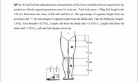 Answered: Q5 A- In Gait Lab the anthropometric… | bartleby