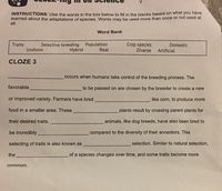 **CLOZE-ing in on Science**

**INSTRUCTIONS:** Use the words in the box below to fill in the blanks based on what you have learned about the adaptations of species. Words may be used more than once or not used at all.

**Word Bank**

| Traits        | Selective breeding   | Population | Crop species | Domestic |
|---------------|----------------------|------------|--------------|-----------|
| Uniform       | Hybrid               | Real       | Diverse      | Artificial |

**CLOZE 3**

____________________ occurs when humans take control of the breeding process. The favorable ____________________ to be passed on are chosen by the breeder to create a new or improved variety. Farmers have bred ____________________, like corn, to produce more food in a smaller area. These ____________________ plants result by crossing parent plants for their desired traits. ____________________ animals, like dog breeds, have also been bred to be incredibly ____________________ compared to the diversity of their ancestors. This selecting of traits is also known as ____________________ selection. Similar to natural selection, the ____________________ of a species changes over time, and some traits become more common.