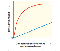 Concentration difference
across membrane
Rate of transport -
