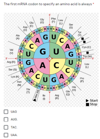 Answered: The first MRNA codon to specify an… | bartleby