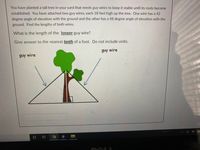 You have planted a tall tree in your yard that needs guy wires to keep it stable until its roots become
established. You have attached two guy wires, each 18 feet high up the tree. One wire has a 42
degree angle of elevation with the ground and the other has a 48 degree angle of elevation with the
ground. Find the lengths of both wires.
What is the length of the longer guy wire?
Give answer to the nearest tenth of a foot. Do not include units.
guy wire
guy wire
