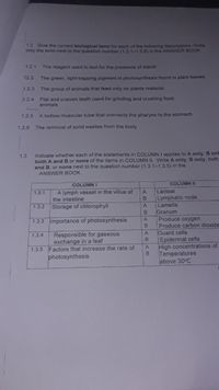 1.2 Give the correct biological term for each of the following descriptions. Write
only the term next to the question number (1.2.1-1.2.6) in the ANSWER BOOK.
1.2.1
The reagent used to test for the presence of starch
12.2
The green, light-trapping pigment in photosynthesis found in plant leaves.
1.2.3
The group of animals that feed only on plants material.
Flat and uneven teeth used for grinding and crushing food.
animals
1.2.4
1.2.5
A hollow muscular tube that connects the pharynx to the stomach
1.2.6
The removal of solid wastes from the body
Indicate whether each of the statements in COLUMN I applies to A only, B onl
both A and B or none of the items in COLUMN II. Write A only, B only, both
and B, or none next to the question number (1.3.1-1.3.5) in the
ANSWER BOOK.
1.3
COLUMN I
COLUMN II
A lymph vessel in the villus of
Lacteal
1.3.1
A
Lymphatic node
Lamella
Granum
the intestine
1.3.2
Storage of chlorophyll
Produce oxygen
Produce carbon dioxide
Guard cells
Epidermal cells
High concentrations of
Temperatures
above 30°C
A
1.3.3 Importance of photosynthesis
Responsible for gaseous
exchange in a leaf
1.3.5 Factors that increase the rate of
photosynthesis
A
1.3.4
BAB
