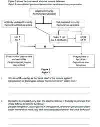 Answered: Figure 3 Shows The Overview Of Adaptive… | Bartleby