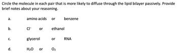 Circle the molecule in each pair that is more likely to diffuse through the lipid bilayer passively. Provide
brief notes about your reasoning.
a.
b.
C.
d.
amino acids or
CI-
or
glycerol
ethanol
or
benzene
H₂O or 0₂
RNA