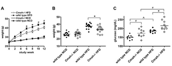 A
weight (g)
Cmah-/- HFD
--wild type HFD
50- -Cmah-/-NCD
-wild type NCD
40-
30-
20+
0
2
6 8 10 12
study week
B
weight (g)
50-
40-
30-
20-
10-
wild type NCD
40
0.
Cmah-/-NCD
wild type HFD
Cmah-/-HFD
C
250-
E.
200-
150-
100-
glucose (mg/dL)
wild type NCD
0
Cmah-/- NCD
wild type HFD
Cmah-/- HFD