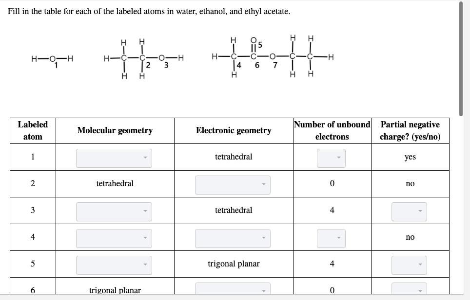 ethyl acetate lewis structure