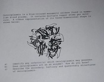 Ceruloplasmin is a blue-colored monomeric oxidase found in mamma-
lian blood plasma. It contains multiple copper atoms per mole-
cule. A ribbon representation of its three-dimensional shape is
shown below:
a)
b)
c)
Identify any cofactor(s) which ceruloplasmin may possess.
How do you know?
Does ceruloplasmin act as an enzyme ?
Describe the secondary, tertiary and quaternary structures
of ceruloplasmin.