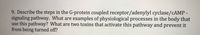 9. Describe the steps in the G-protein coupled receptor/adenylyl cyclase/CAMP -
signaling pathway. What are examples of physiological processes in the body that
use this pathway? What are two toxins that activate this pathway and prevent it
from being turned off?
