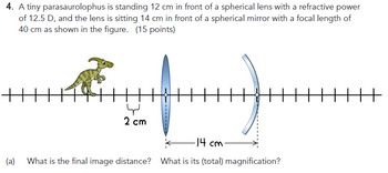 4. A tiny parasaurolophus is standing 12 cm in front of a spherical lens with a refractive power
of 12.5 D, and the lens is sitting 14 cm in front of a spherical mirror with a focal length of
40 cm as shown in the figure. (15 points)
(a)
لها
2 cm
-14 cm-
What is the final image distance? What is its (total) magnification?