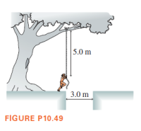 5.0 m
3.0 m
FIGURE P10.49
