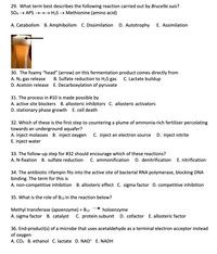 29. What term best describes the following reaction carried out by Brucella suis?
SO4 → APS →→→ H2S → Methionine (amino acid)
A. Catabolism
B. Amphibolism C. Dissimilation
D. Autotrophy
E. Assimilation
30. The foamy "head" (arrow) on this fermentation product comes directly from
A. N2 gas release
B. Sulfate reduction to H2S gas
C. Lactate buildup
D. Acetoin release
E. Decarboxylation of pyruvate
31. The process in #10 is made possible by
A. active site blockers B. allosteric inhibitors C. allosteric activators
D. stationary phase growth E. cell death
32. Which of these is the first step to countering a plume of ammonia-rich fertilizer percolating
towards an underground aquafer?
A. inject molasses B. inject oxygen
E. inject water
C. inject an electron source
D. inject nitrite
33. The follow-up step for #32 should encourage which of these reactions?
A. N-fixation
B. sulfate reduction
C. ammonification
D. denitrification
E. nitrification
34. The antibiotic rifampin fits into the active site of bacterial RNA polymerase, blocking DNA
binding. The term for this is
A. non-competitive inhibition B. allosteric effect C. sigma factor D. competitive inhibition
35. What is the role of B12 in the reaction below?
Methyl transferase (apoenzyme) + B12
A. sigma factor B. catalyst
holoenzyme
C. protein subunit
D. cofactor E. allosteric factor
36. End-product(s) of a microbe that uses acetaldehyde as a terminal electron acceptor instead
of oxygen
A. CO2 B. ethanol C. lactate D. NAD* E. NADH
