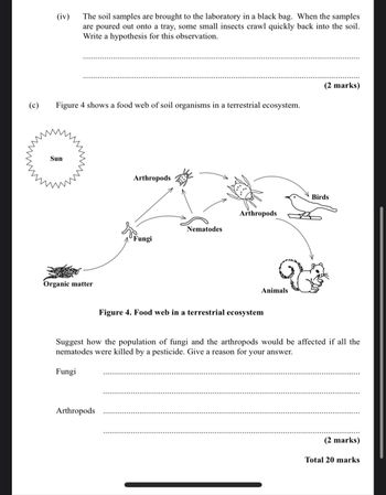 (c)
(iv)
The soil samples are brought to the laboratory in a black bag. When the samples
are poured out onto a tray, some small insects crawl quickly back into the soil.
Write a hypothesis for this observation.
Figure 4 shows a food web of soil organisms in a terrestrial ecosystem.
Sun
Organic matter
Arthropods
(2 marks)
Birds
Arthropods
Nematodes
Fungi
Animals
Figure 4. Food web in a terrestrial ecosystem
Suggest how the population of fungi and the arthropods would be affected if all the
nematodes were killed by a pesticide. Give a reason for your answer.
Fungi
Arthropods
(2 marks)
Total 20 marks