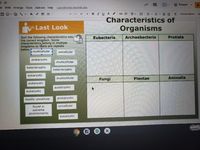 O Present
at Slide Arrange Tools Add-ons Help
Last edit was seconds ago
T O- O
BIUA GD D .
Format options
11
Ar
Characteristics of
Organisms
Last Look
Sort the following characteristics into
the correct kingdom. Some
characteristics belong in multiple
kingdoms so there are repeats
below.
Eubacteria
Archaebacteria
Protista
multicellular
unicellular
prokaryotic
multicellular
heterotrophic
heterotrophic
eukaryotic
Fungi
Animalia
multicellular
Plantae
eukaryotic
autotrophic.
eukaryotic
mostly unicellular
prokaryotic
found in
unicellular
extreme
environments
eukaryotic
sciere
