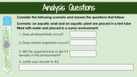 **Analysis Questions**

Consider the following scenario and answer the questions that follow:

**Scenario:** An aquatic snail and an aquatic plant are placed in a test tube filled with water and placed in a sunny environment.

1. Does photosynthesis occur?
   - [Answer Box]

2. Does cellular respiration occur?
   - [Answer Box]

3. Will the organisms live or die if it remains in this environment?
   - [Answer Box]

4. Justify your answer to #3.
   - [Answer Box]

*Diagram Description*: The image includes an illustration of a test tube containing water, an aquatic snail, and an aquatic plant. The test tube is set against a sunny background, indicating the conditions under which the scenario occurs.