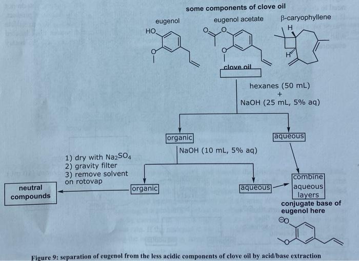 isolation of eugenol from cloves