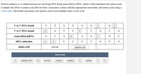 Protein synthesis is a complicated process involving DNA being transcribed to RNA, which is then translated into amino acids.
Complete the DNA-to-amino acid table for three consecutive codons with the appropriate nucleotides and amino acids using a
codon table. Nucleotide and amino acid options can be used multiple times or not at all.
5' to 3' DNA strand
T
T
A
G
A
G
3' to 5' DNA strand
A
A
T
C
T
C
G
C
G
transcribed mRNA
U
U
A
G
A
G
C
G
C
TRNA anticodon
A.
A
U
C
U
G
C
G
amino acid
leucine
glutamic acid
Answer Bank
A
glutamic acid
leucine
cysteine
arginine
proline
U
